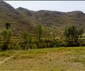 Katlang Mardan Pakistan