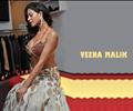 Veena Malik                       by coolman