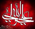 Shiraz Haider 
