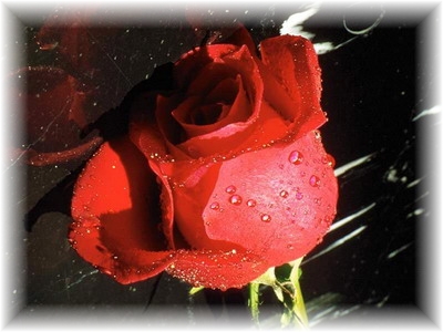 Sad Love Quotes :: 2 sad love quotes with pictures. Sad Love Quotes :: 2