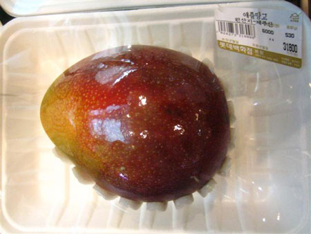 Most expensive mango Korea Kiwis cost 12 Dollars each