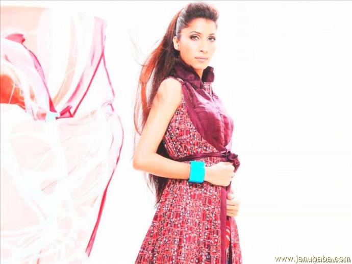 Vaneezaahmed (1)