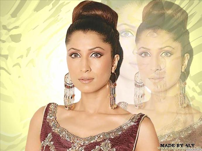 Vaneezaahmed (1)