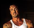 Sylvester Stallone