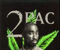 2 PAC