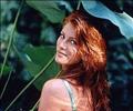 Angie Everhart