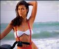 Carol Alt