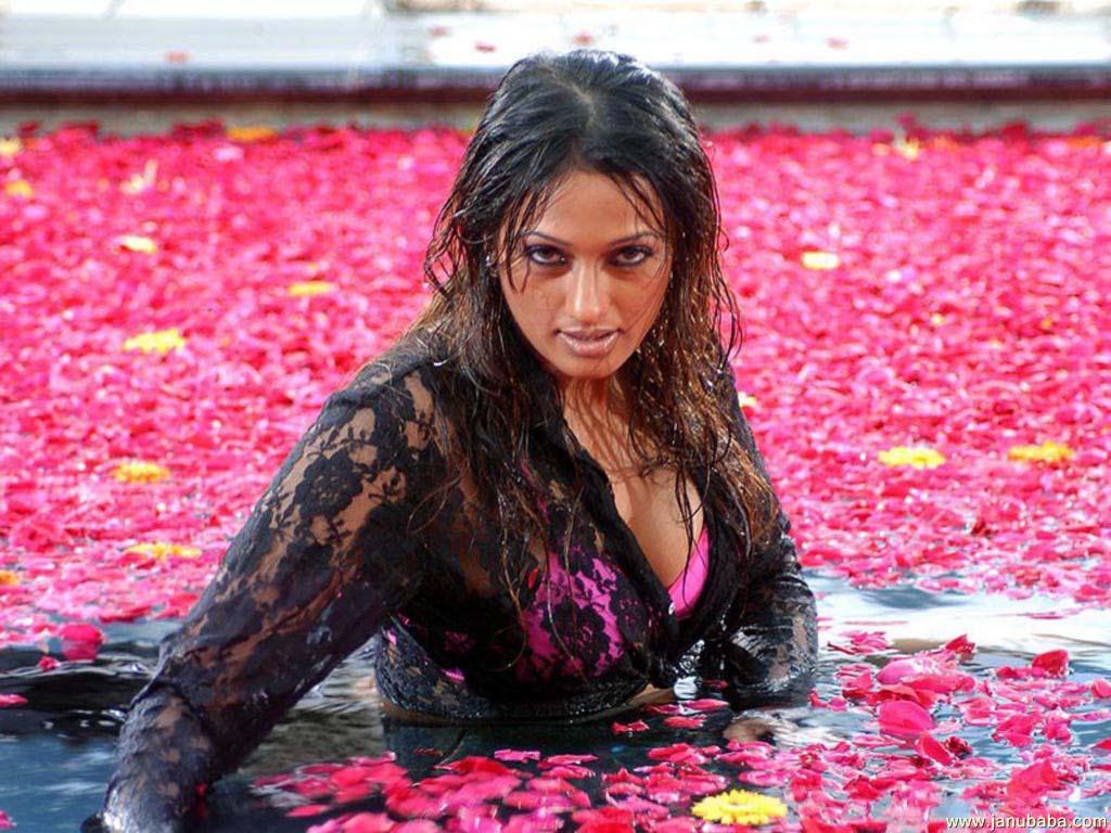 Brinda Parekh               by coolman