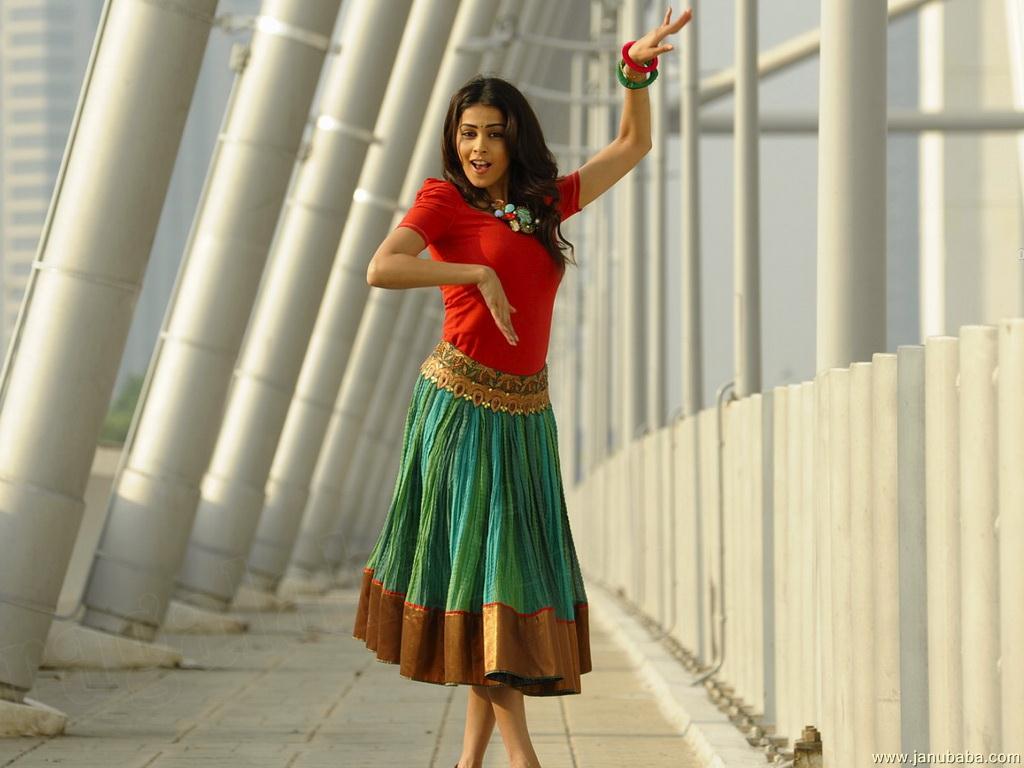 Genelia Dsouza