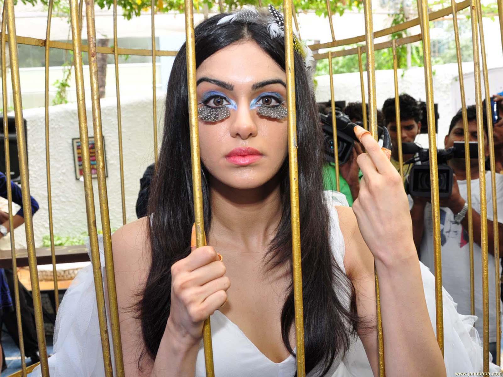 Adah Sharma              by coolman