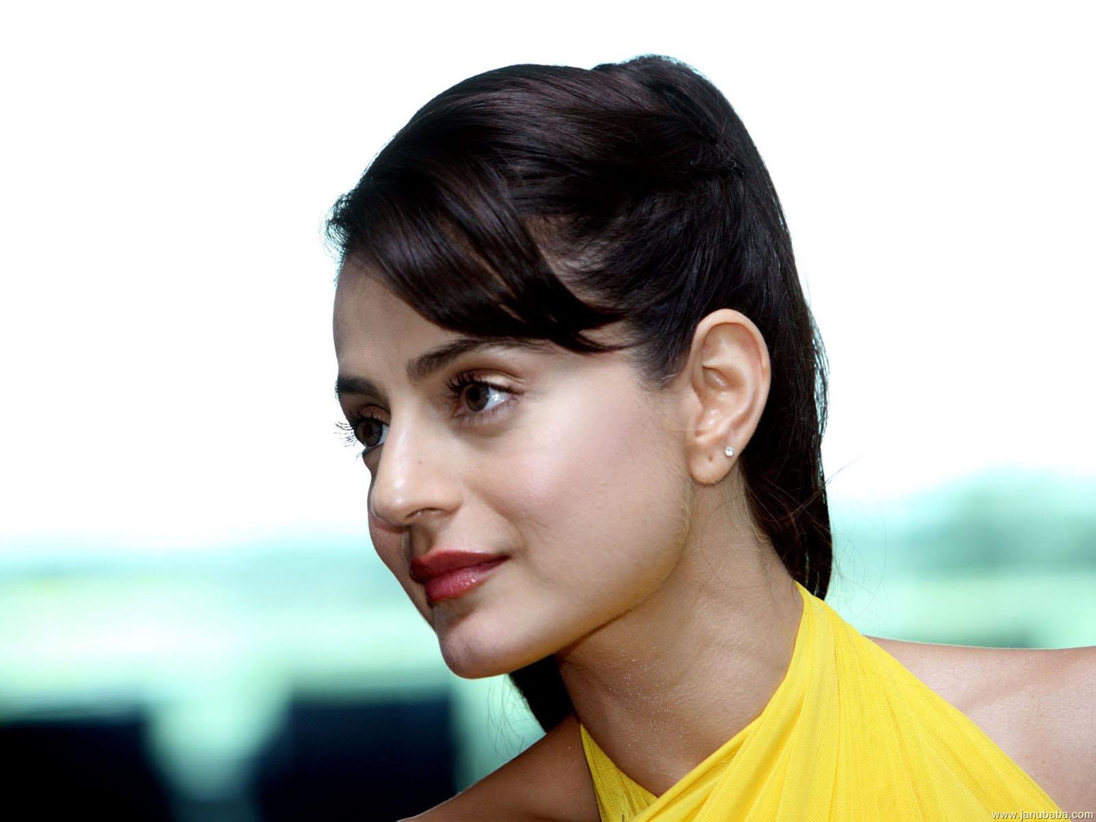 Amisha Patel             by coolman