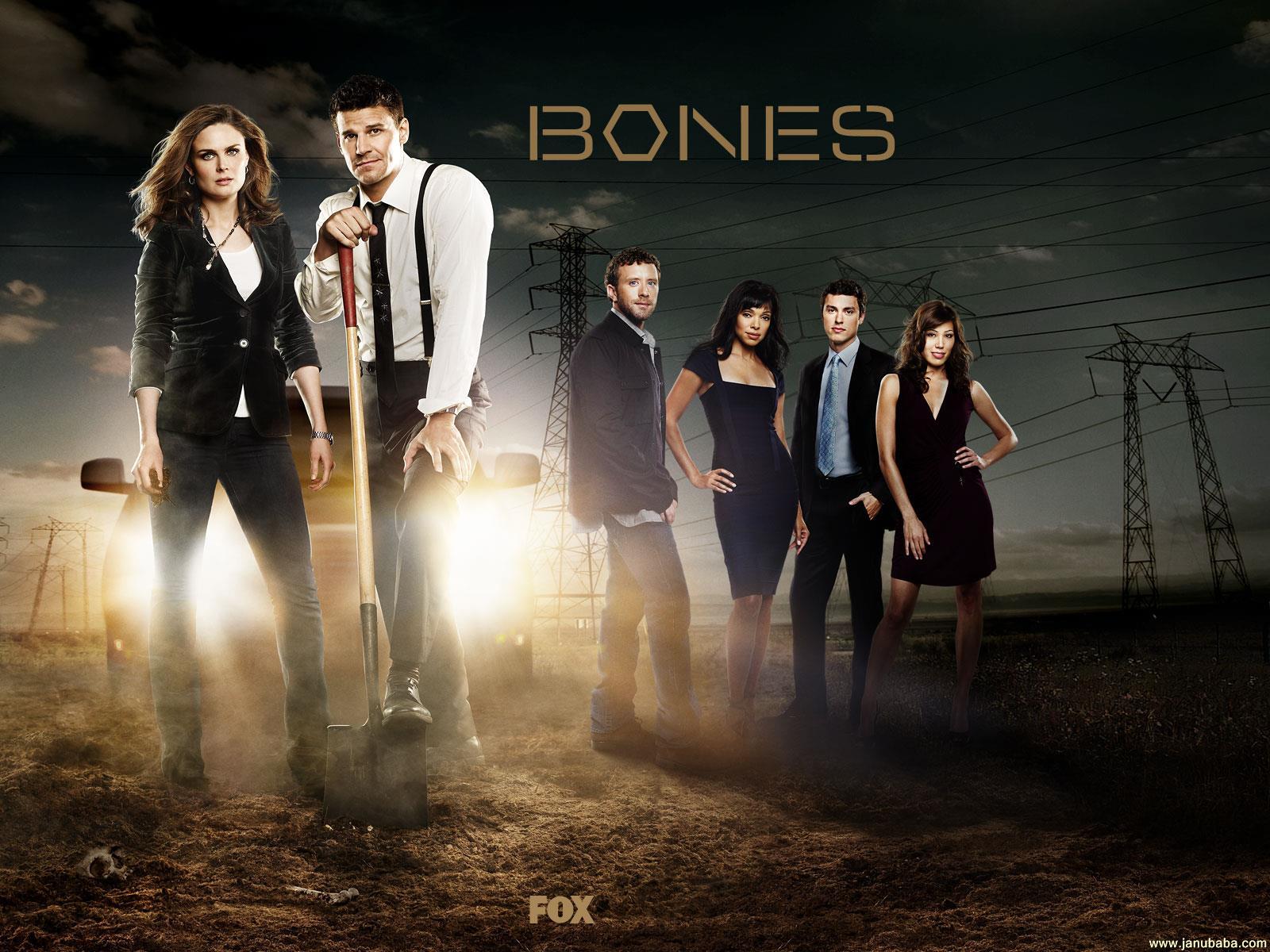 Bones