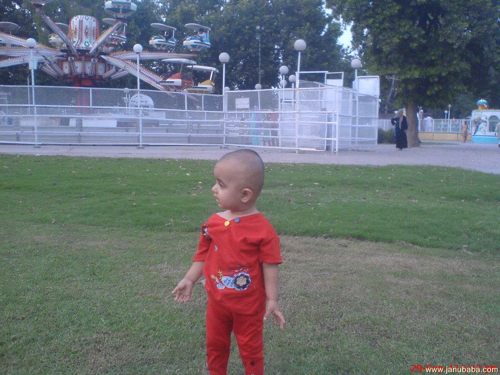 hafsa