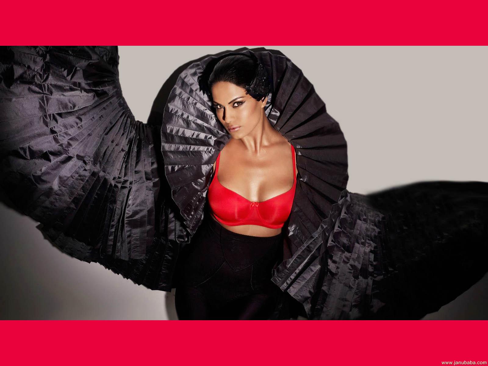 Veena Malik             by coolman