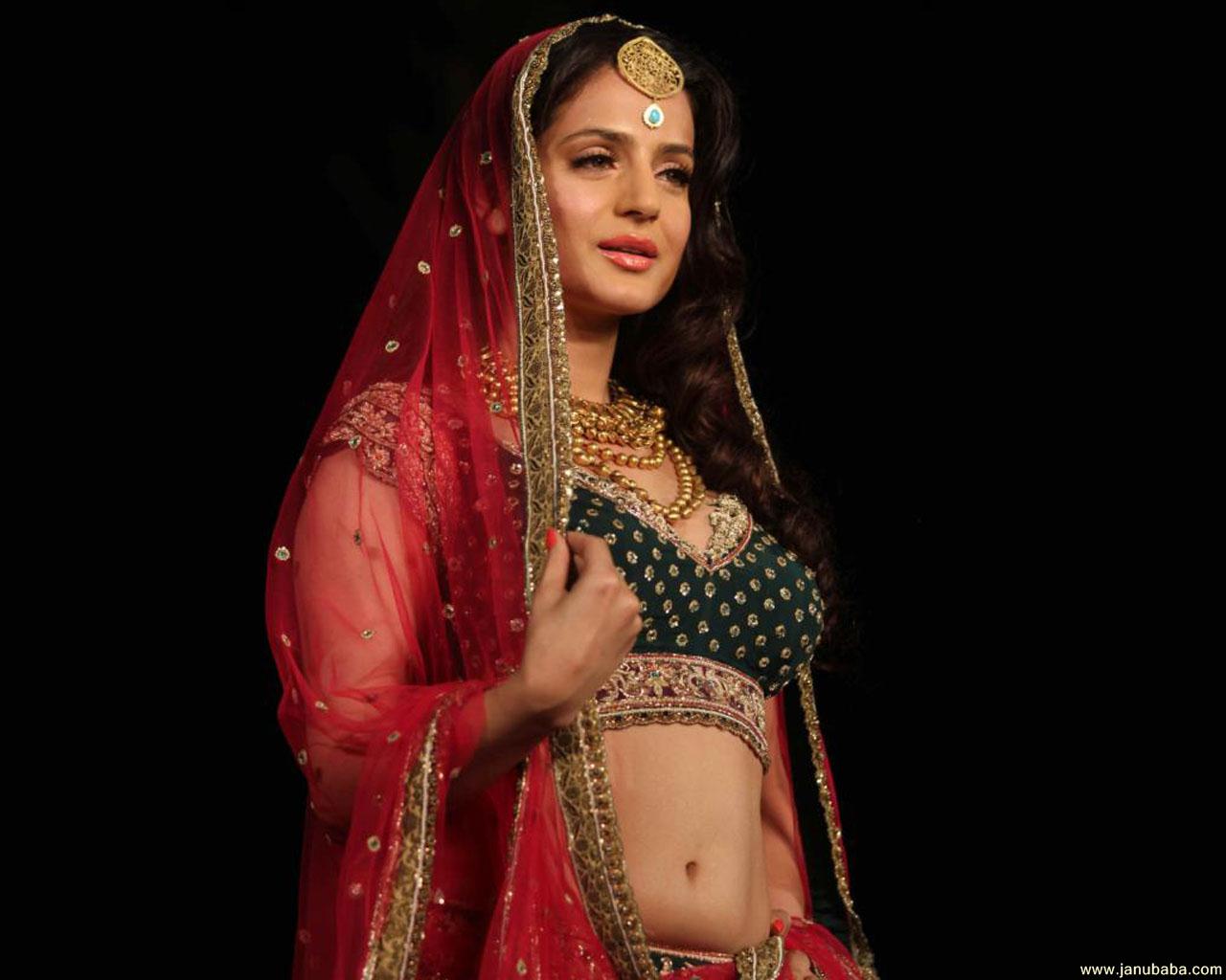 Amisha Patel                     by coolman