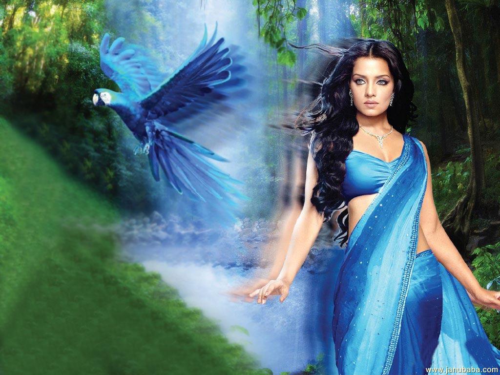 Celina Jaitley                by coolman