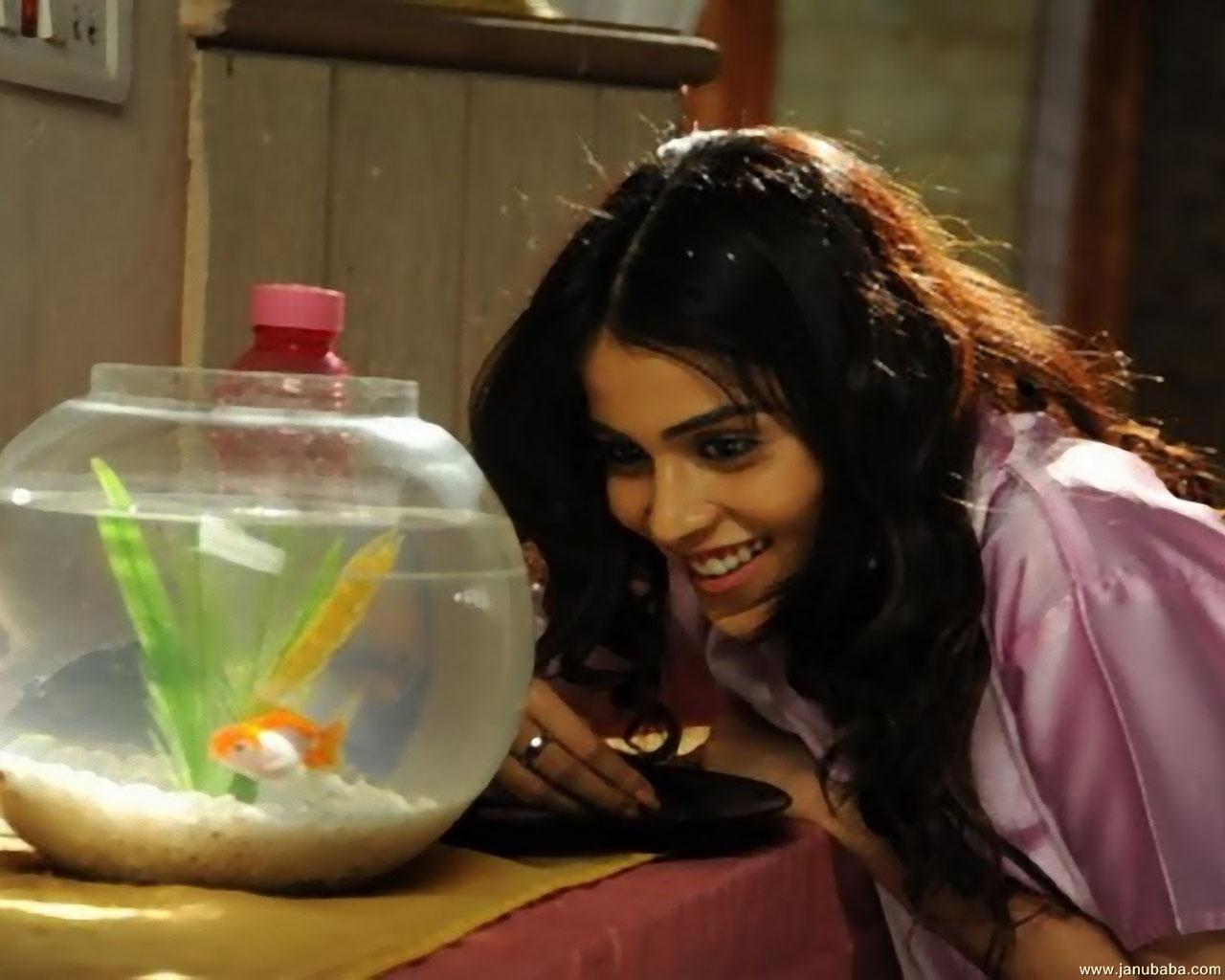 Genelia                     by coolman