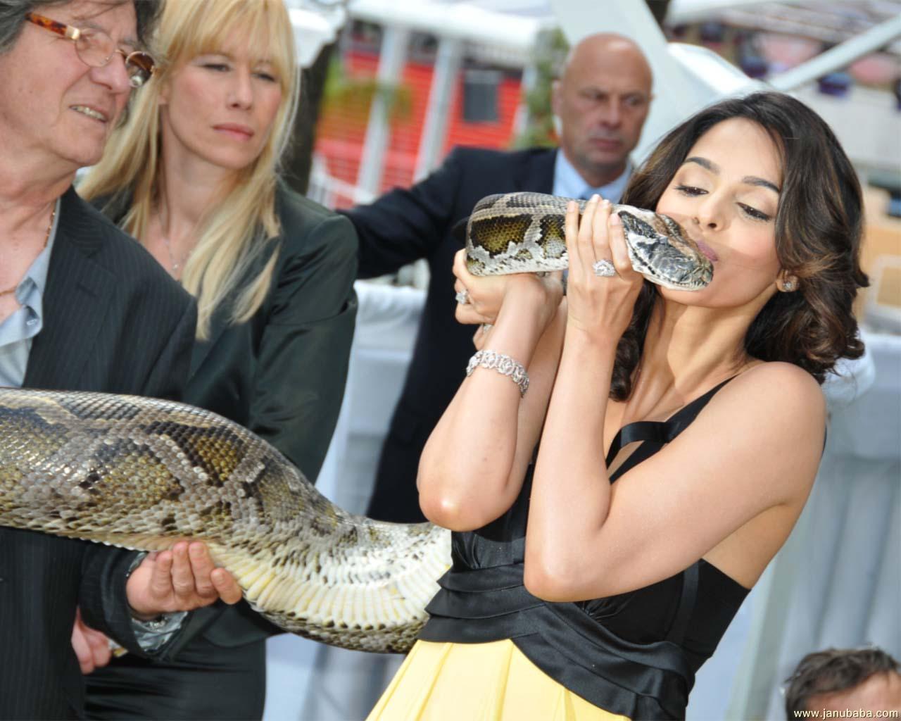 Mallika Sherawat               by coolman