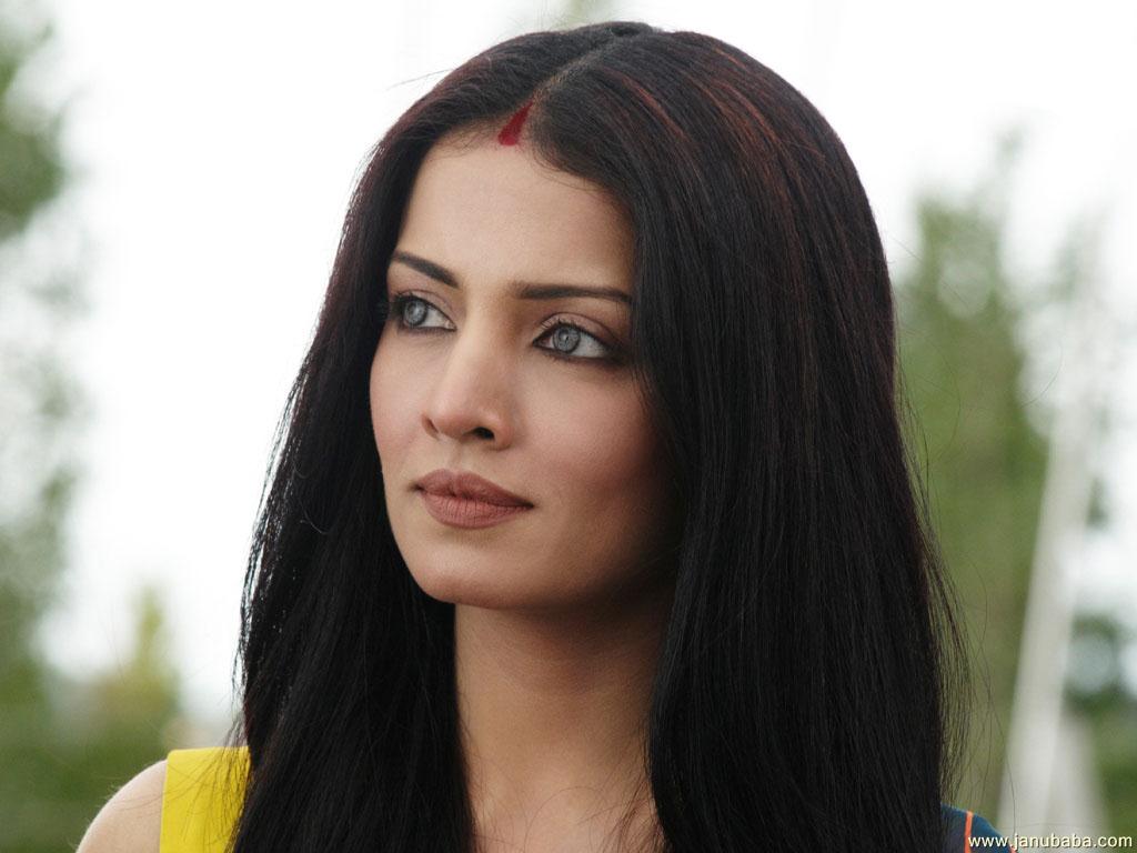 Celina Jaitley                by coolman