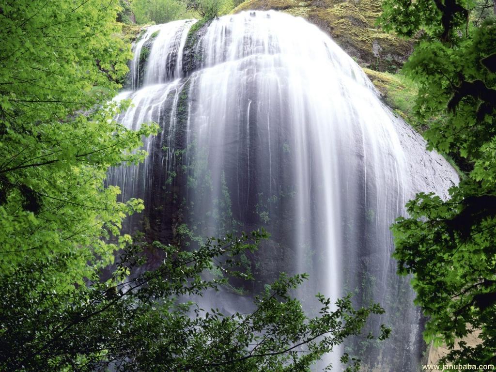 Water Fall